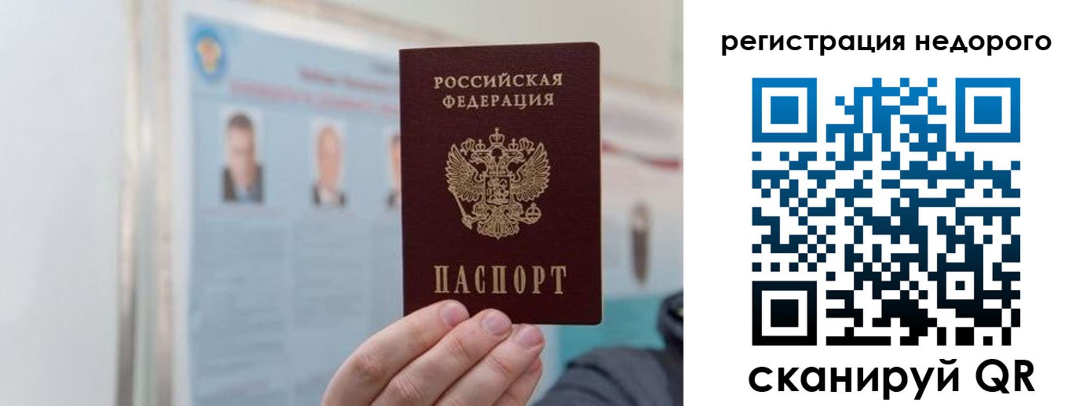 прописка 2025 в Щиграх
